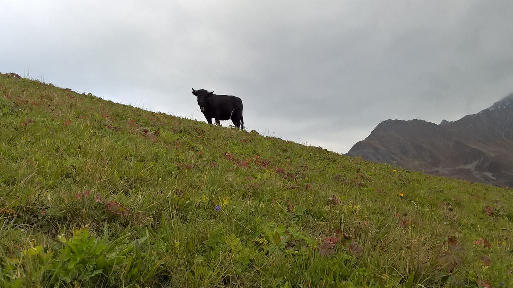 Rodasia Verbier Buitenkant foto